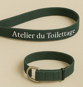 collier pour chien